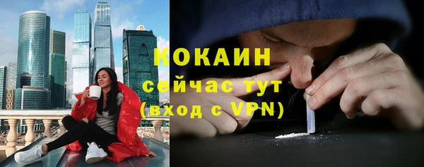 шишки Абинск