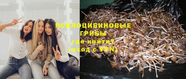 a pvp Абдулино