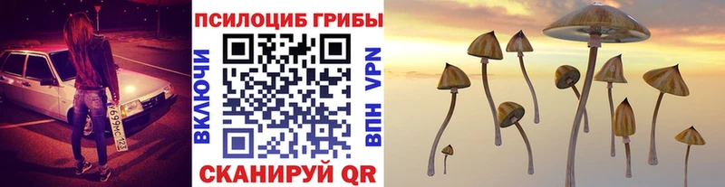 сайты даркнета телеграм  Хабаровск  Псилоцибиновые грибы MAGIC MUSHROOMS 